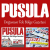 Pusula Gazetesi